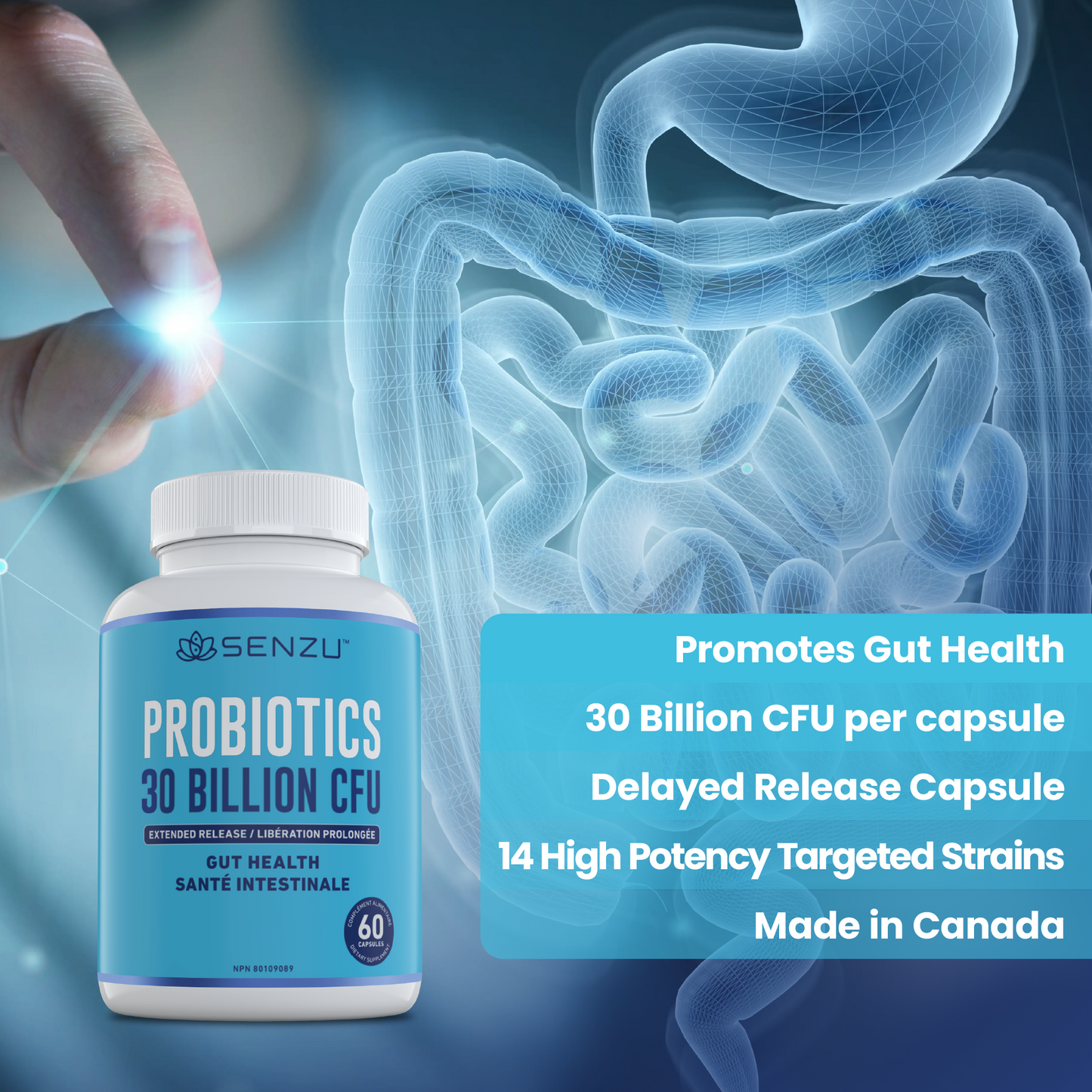 Probiotics 60 Billion